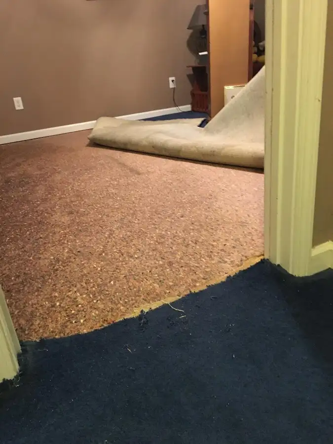 Carpet pad removal revealing water damage during Water Mitigation Services in Burton