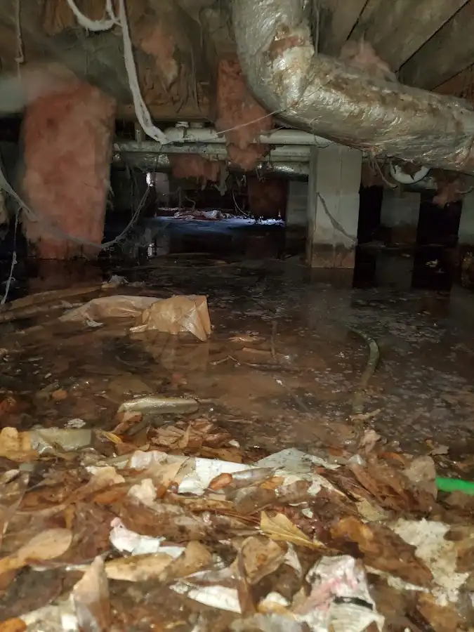 Crawl space flood assessment for Leak Detection & Repair in Burton